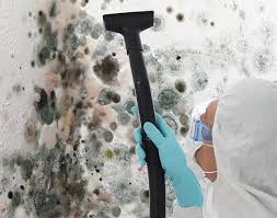 Why You Should Choose Our Mold Remediation Services in Flatwoods, KY